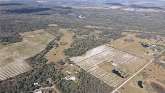 5009 Oak Wood Ave, Arcadia, FL 34269