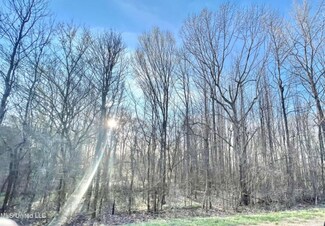 0000 Poagville Rd, Coldwater, MS 38618