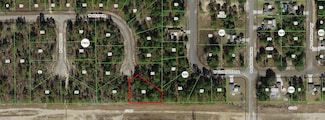 1005 W Riley Dr, Citrus Springs, FL 34434