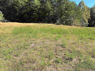 0 River Mill Ct Unit 25041085, Whittington Township, AR 71913