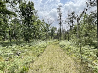 00 E 10 Mile Rd Unit Parcel G-1, Irons, MI 49644