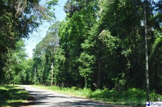 TBD Lots 3H&J Branchwood Rd, Clio, SC 29525