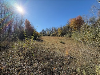 0 Willowdale Dr, MacEdon, NY 14502