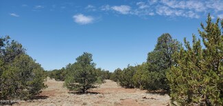 17 County Road 8077, Concho, AZ 85924