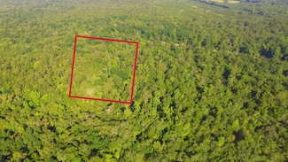 000 Suwannee River Park Estates, Live Oak, FL 32060