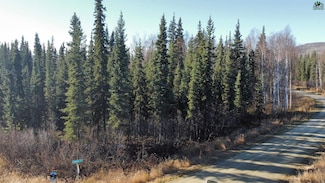 L16B1 NHN Edinburgh Ct, Fairbanks, AK 99712