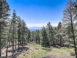 1002 Indian Creek Rd Unit R0011770, Florissant, CO 80816