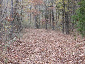 TBD Lawrence Road 311, Powhatan, AR 72458