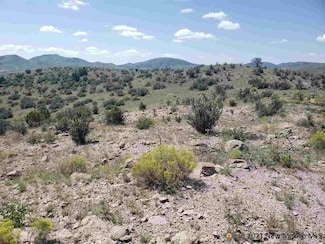 #8 Child of Water, Lake Valley, NM 88042