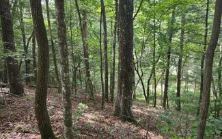 LT255 Tomahawk Trail, Cherry Log, GA 30522