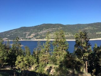 23XX Eagle River Way, Kettle Falls, WA 99141