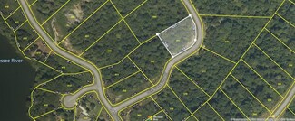 Lot 383 Thief Neck View Dr, Rockwood, TN 37854