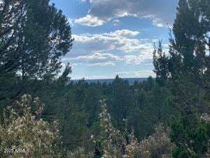 740 Ceremony Ln Unit 84, Happy Jack, AZ 86024