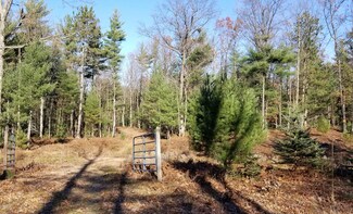 Lots E,F,G N 56th Ave, Pentwater, MI 49449