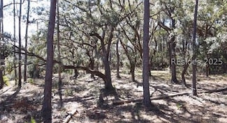 - Broadview Dr, Ridgeland, SC 29936