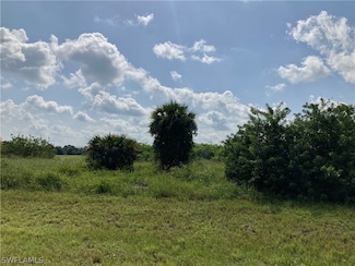 3049 E Briarwood Cir, Labelle, FL 33935