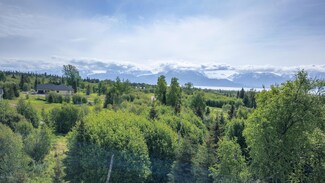 L8 B1 Triple Crown Rd, Fritz Creek, AK 99603
