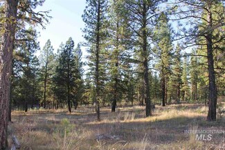 Lot 7 Timber Ridge Dr, New Meadows, ID 83654