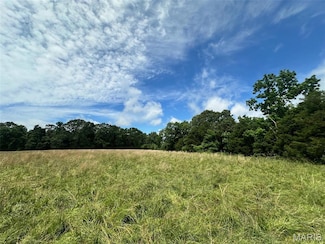 Lot 2 Highway H, Elk Creek, MO 65464