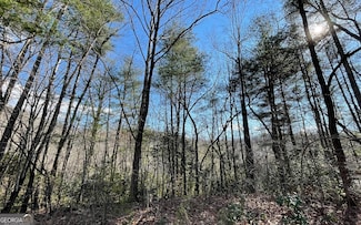 LOT 42 Granite Drive Fires Creek Cove, Hayesville, NC 28904
