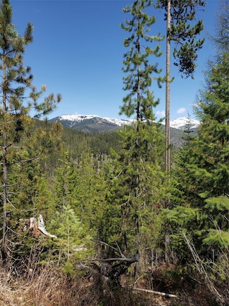 Tract 12 Grouse Lode 9 Mile Rd, Huson, MT 59846