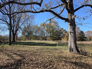 1280 Walnut Grove Rd, Newark, AR 72562