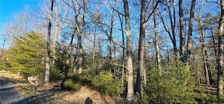 Lot 57.1 Barryville - Yulan Rd, Barryville, NY 12719