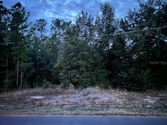 000 LOT 22 Locust Course Radial, Ocala, FL 34472