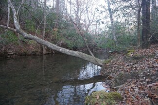 0 Long Branch Rd Unit 1325581, Menlo, GA 30731