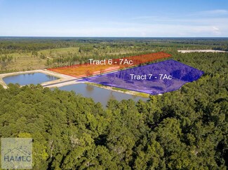 30.112AC Flemington Village Blvd, Flemington, GA 31313