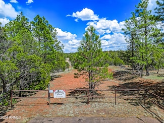 2255 Bootlegger #3 -- Unit 3, Overgaard, AZ 85933