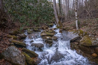 000 Herron Branch Rd, Whittier, NC 28789