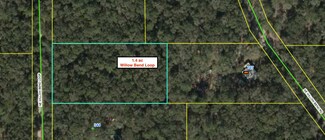 Vacant NE Willow Bend Loop, Lee, FL 32059