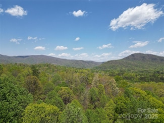Lot 36 Turkey Fall Ln, Lake Lure, NC 28746