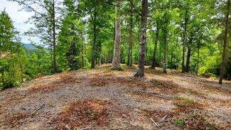 00 Wambli Pass Unit 20 & 21, Lake Lure, NC 28746