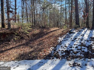 01 Old Federal Rd, Ellijay, GA 30540