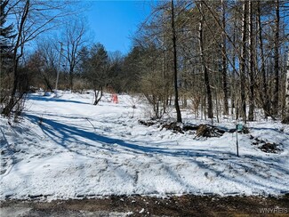 6599 McAffee Rd, Lyndon, NY 14727