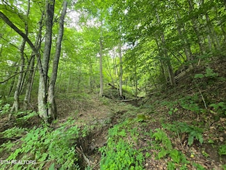 00 Left Poor Valley Rd, Pennington Gap, VA 24277