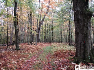 0 Salt Rising Rd, Bolivar, NY 14715