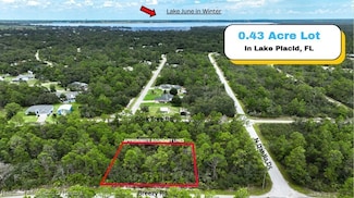 929 Breezy Rd, Lake Placid, FL 33852