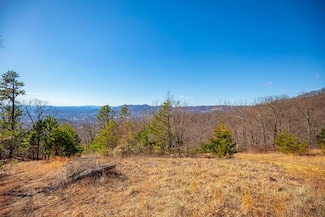 65 Acres Spring Pond Trail, Fancy Gap, VA 24328