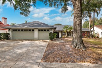 15106 Meadowlake St, Odessa, FL 33556