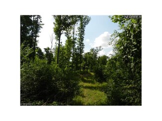 4065 Brush Rd, Richfield, OH 44286