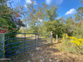 21332 Melvin New Grade Rd, Altha, FL 32421