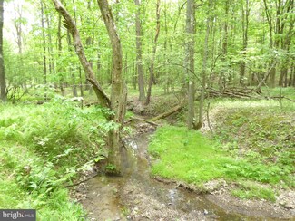 49 Spring View Dr, Green Spring, WV 26722