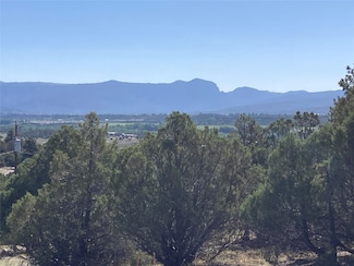 TBD Parkview Hills Lots 8 and 9, Rutheron, NM 87551