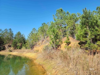 00000 Tower Rd, Uriah, AL 36480