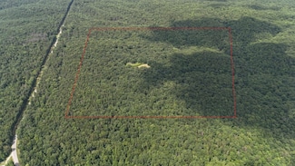 Highway 33, Moulton, AL 35650