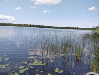 Lot 36 Kelley Dr, Case Township, MI 49759