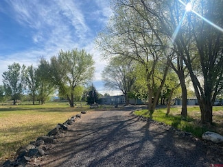12412 2135 Rd, Orchard City, CO 81418